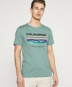 Solid RIDLEY - T-shirt Imprimé - Sagebrush Green