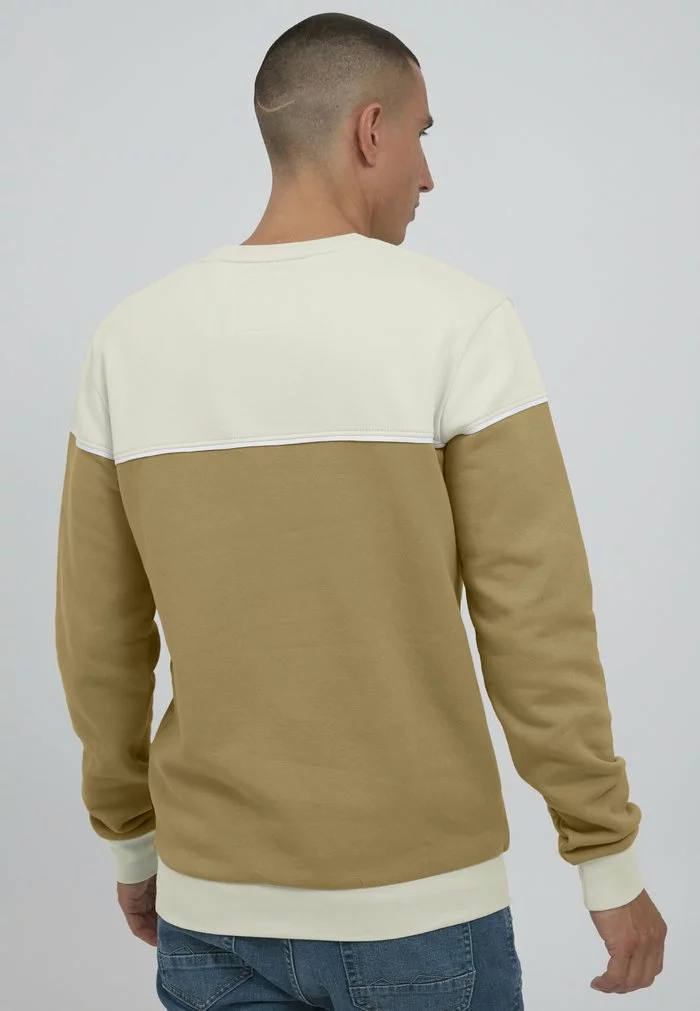Solid SDDEWAR - Sweatshirt - Oatmeal 3 Solid SDDEWAR - Sweatshirt - Oatmeal â Image 3