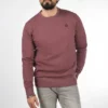 Solid SDBENN - Sweatshirt - Wine Red