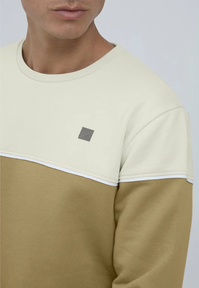 Solid SDDEWAR - Sweatshirt - Oatmeal 4 Solid SDDEWAR - Sweatshirt - Oatmeal â Image 4